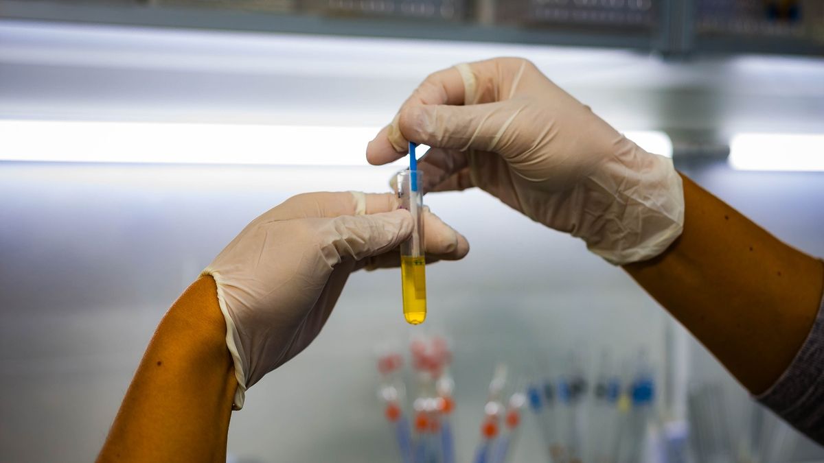 Campaña de controles gratuitos por cáncer de próstata en Santa Lucía