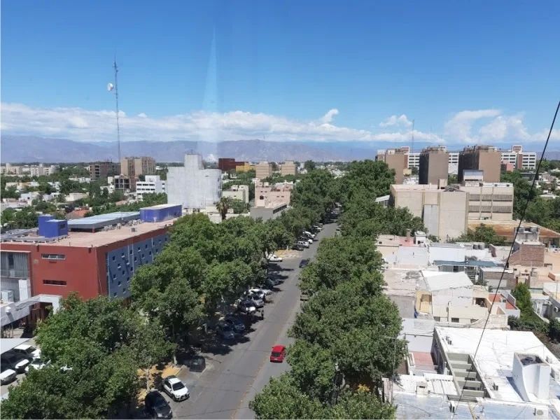 Arbolado urbano en San Juan en una nota sobre erradicación y forestación