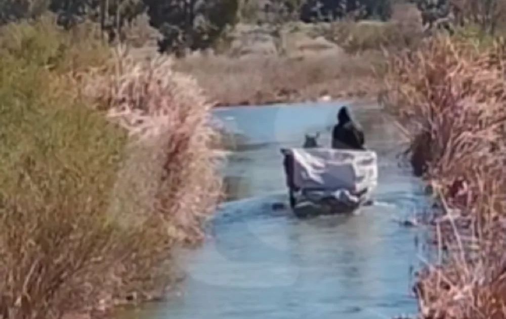 Caballo con carretela en una escena que generó reclamos en Chimbas