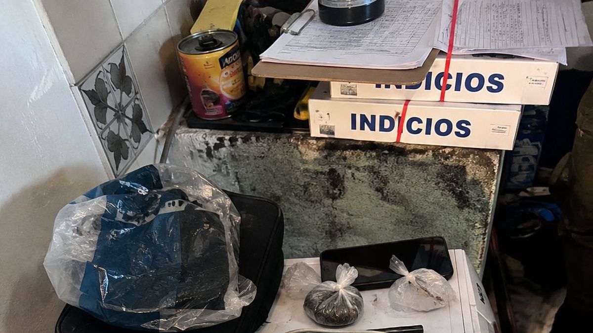 Armas, municiones y plantas de marihuana secuestradas durante un allanamiento en Chimbas