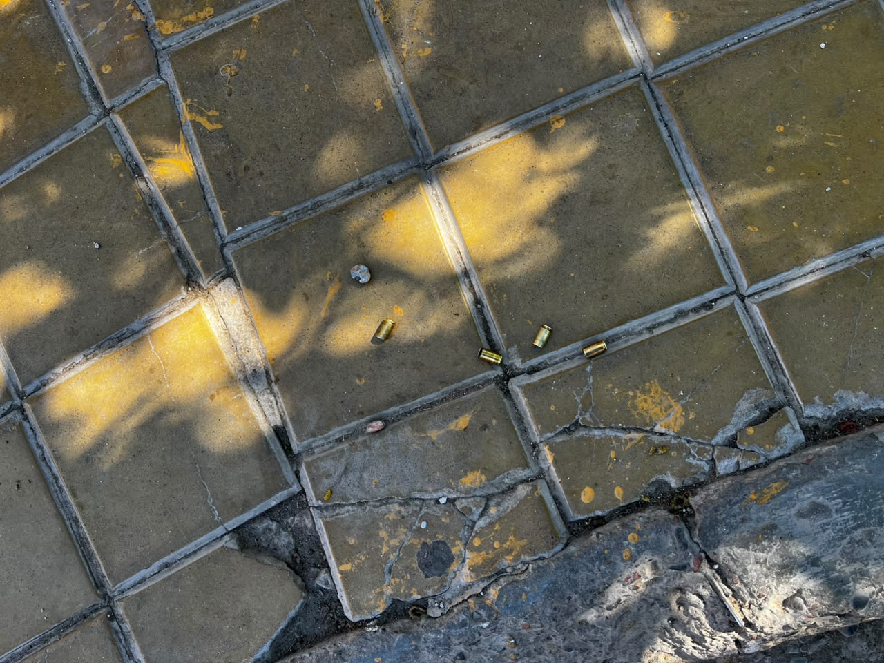 Vainas servidas sobre una vereda de baldosas en la fotografía aportada sobre el hecho.