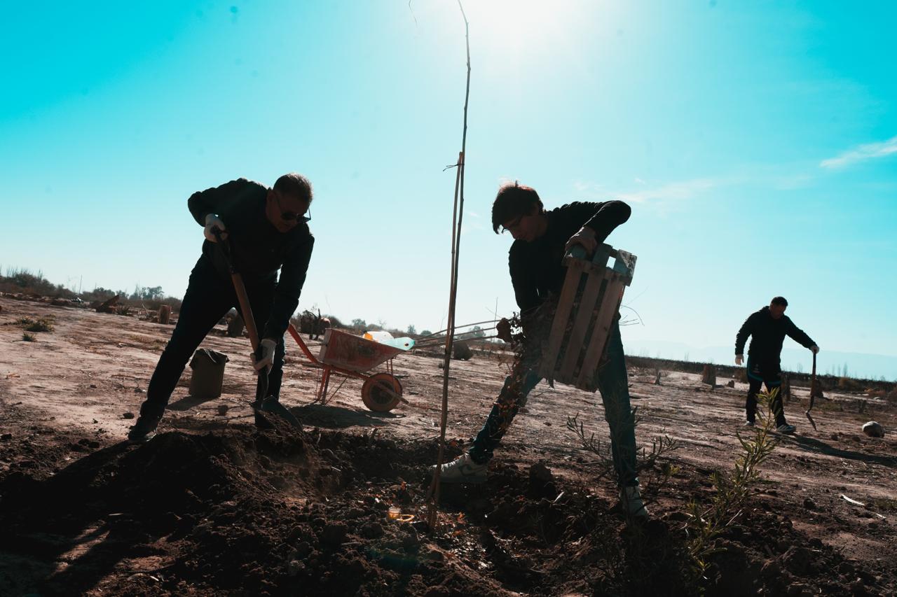 Personas trabajan con palas y una carretilla en el terreno del vivero.