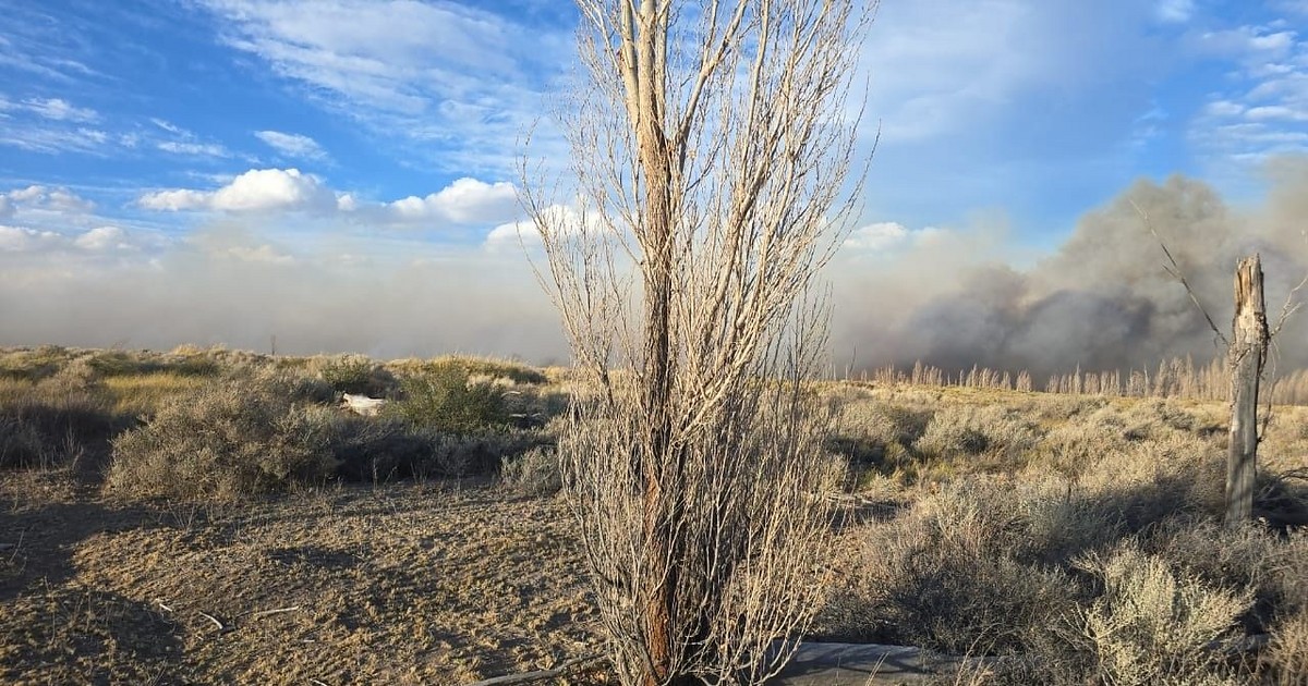 Humo del incendio sobre terrenos y árboles de la estancia Guañizuil, en Iglesia.