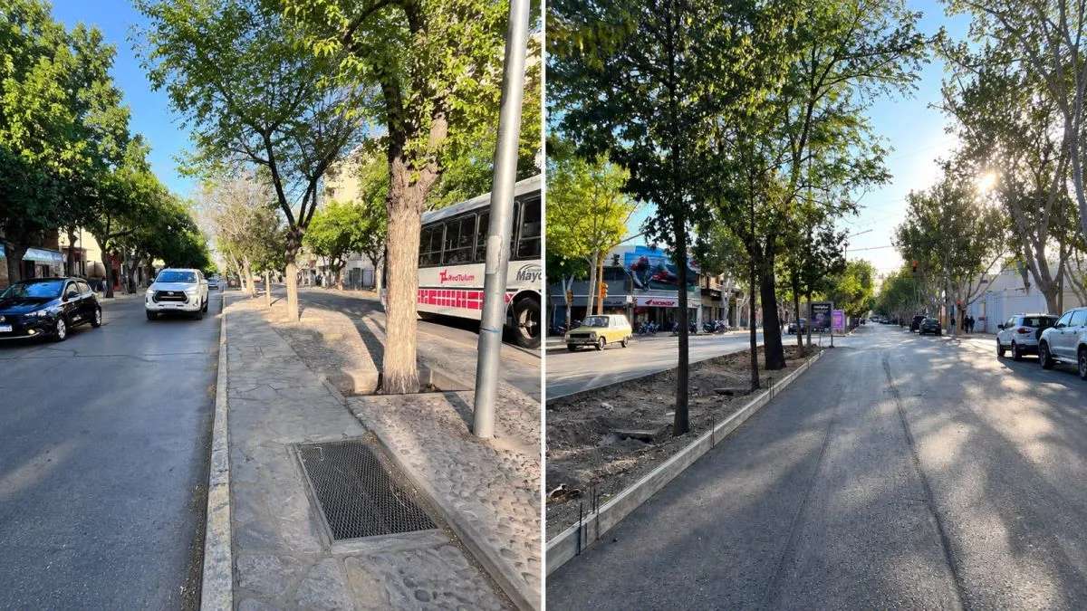 Dos vistas de avenida Libertador con árboles, vehículos y su separador central.
