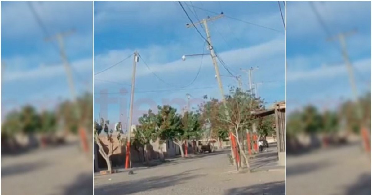 Pánico en Chimbas: el viento Zonda dejó postes inestables y el Municipio gestiona reclamos