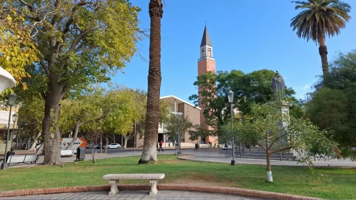 Árboles, palmeras y bancos de una plaza de San Juan, con el campanil de la Catedral al fondo.