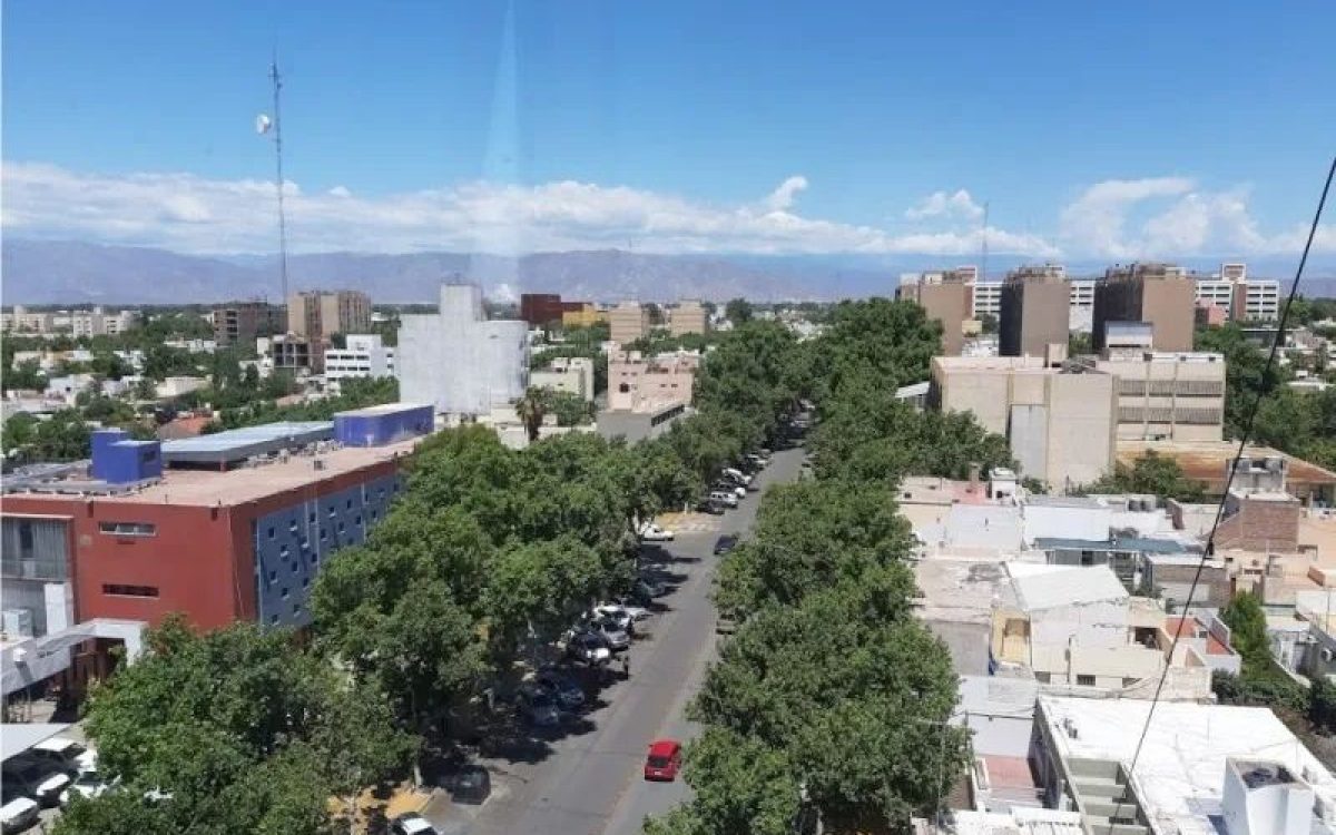 Arbolado urbano en San Juan en una nota sobre erradicación y forestación