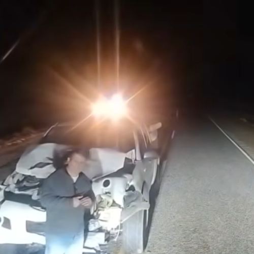Camioneta destrozada tras chocar con animales sueltos en la Ruta 510 de Valle Fertil