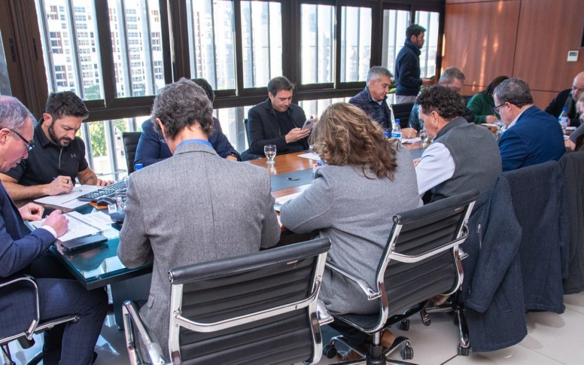 Sesion legislativa en San Juan por el proyecto de desarrollo local minero