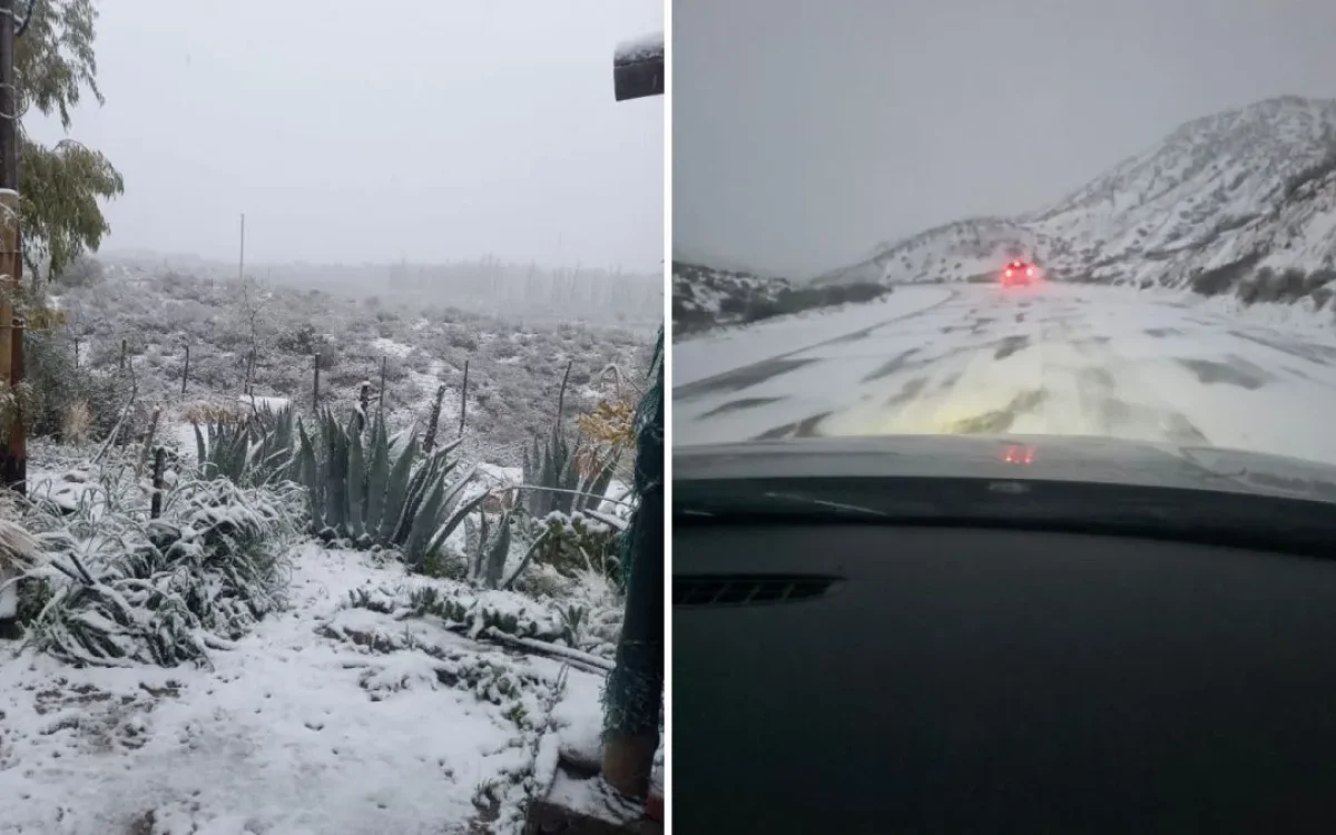Composición de fotografías con vegetación nevada y una ruta cubierta de nieve en San Juan