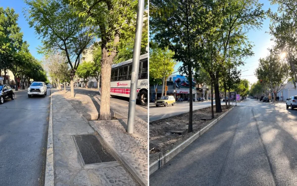 Dos vistas de avenida Libertador con árboles, vehículos y su separador central.