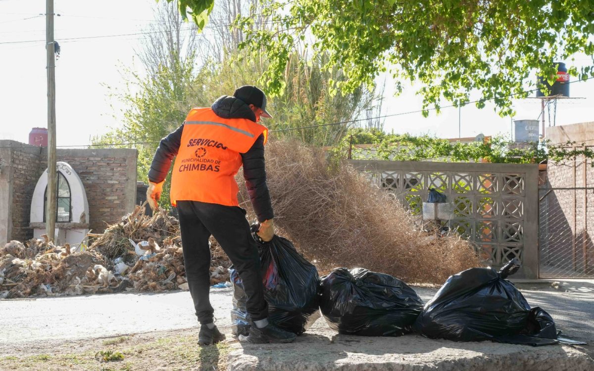 Operario de Servicios de la Municipalidad de Chimbas junta ramas durante el cronograma de limpieza
