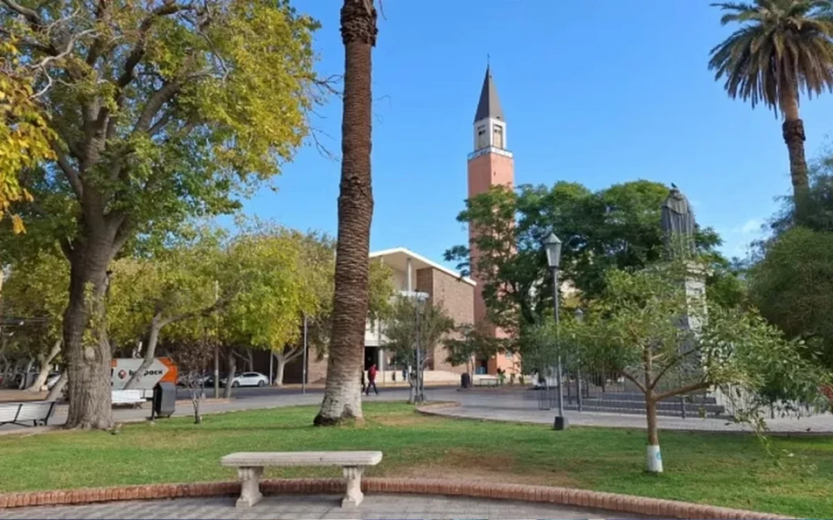 Árboles, palmeras y bancos de una plaza de San Juan, con el campanil de la Catedral al fondo.